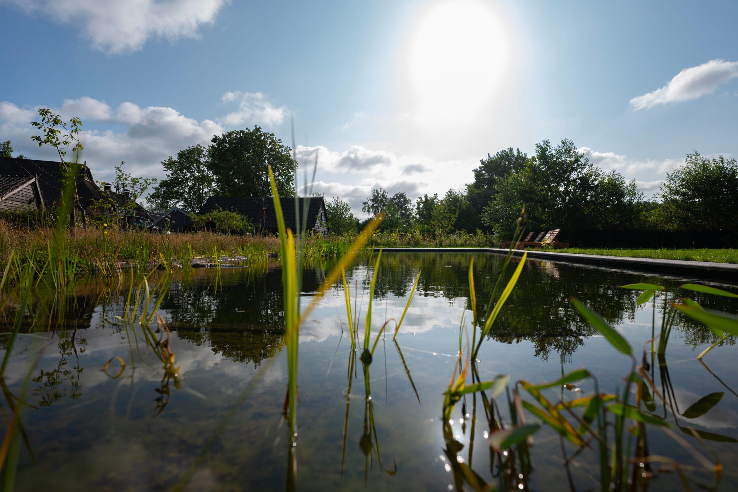 Vossebeld Zwemmen - Zwemvijver IJhorst