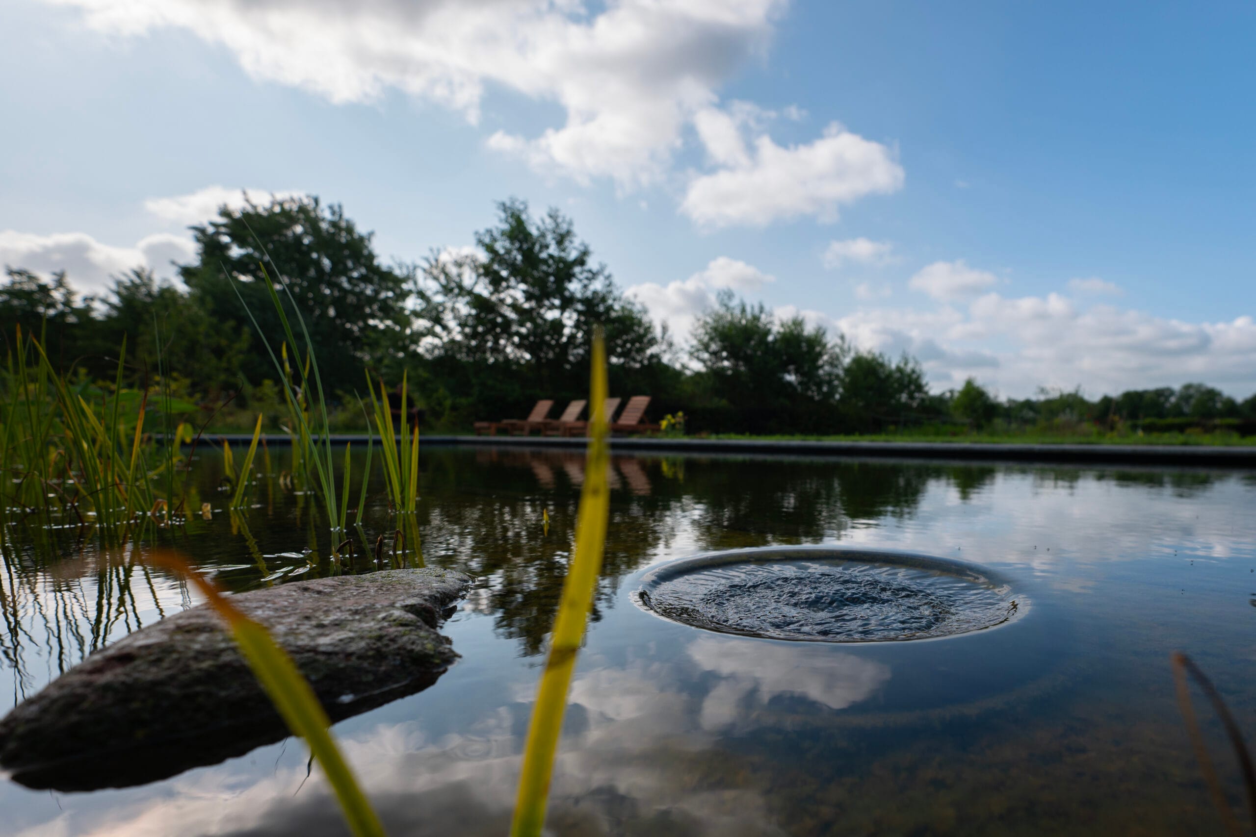 Vossebeld Zwemmen - Zwemvijver IJhorst