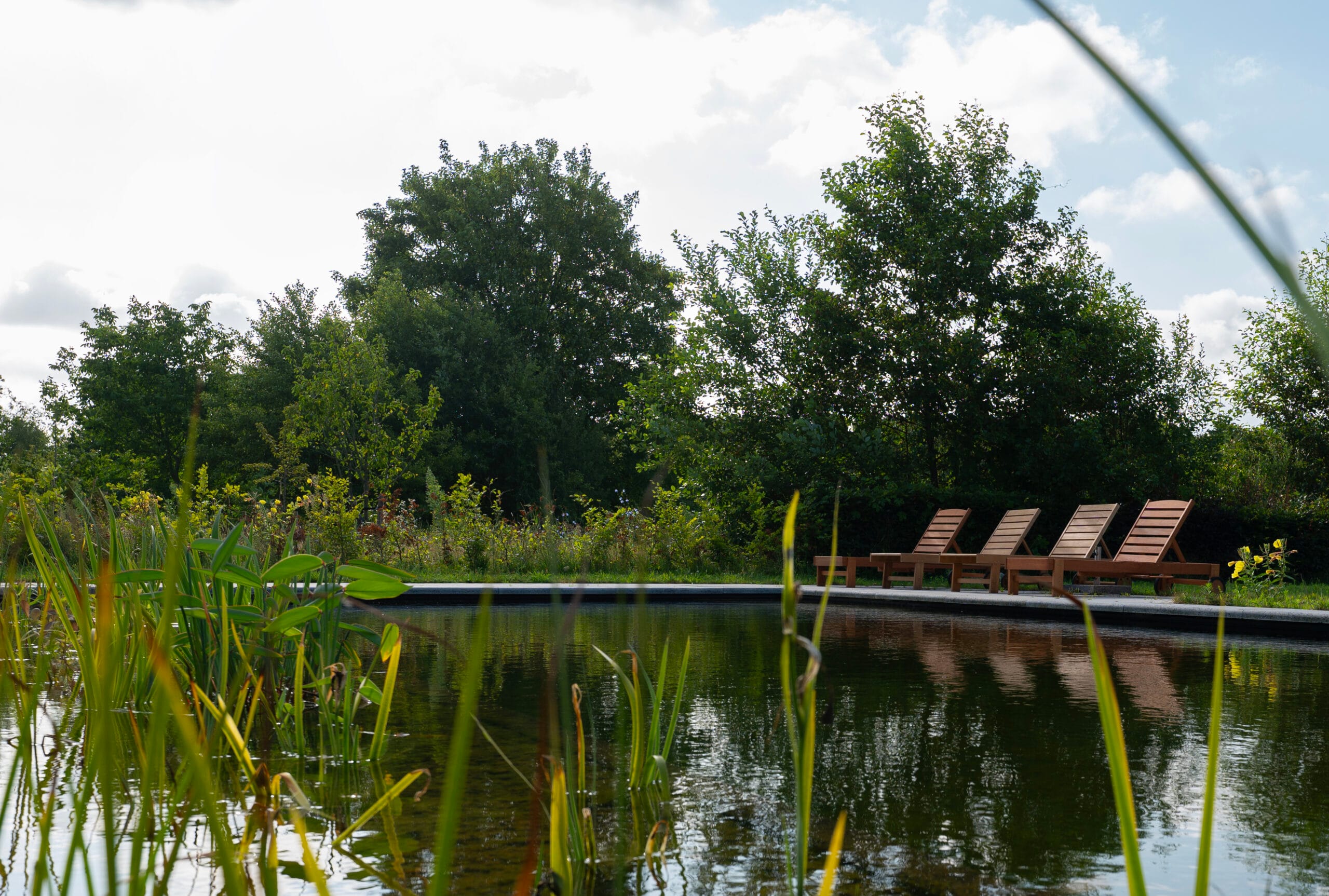 Vossebeld Zwemmen - Zwemvijver IJhorst