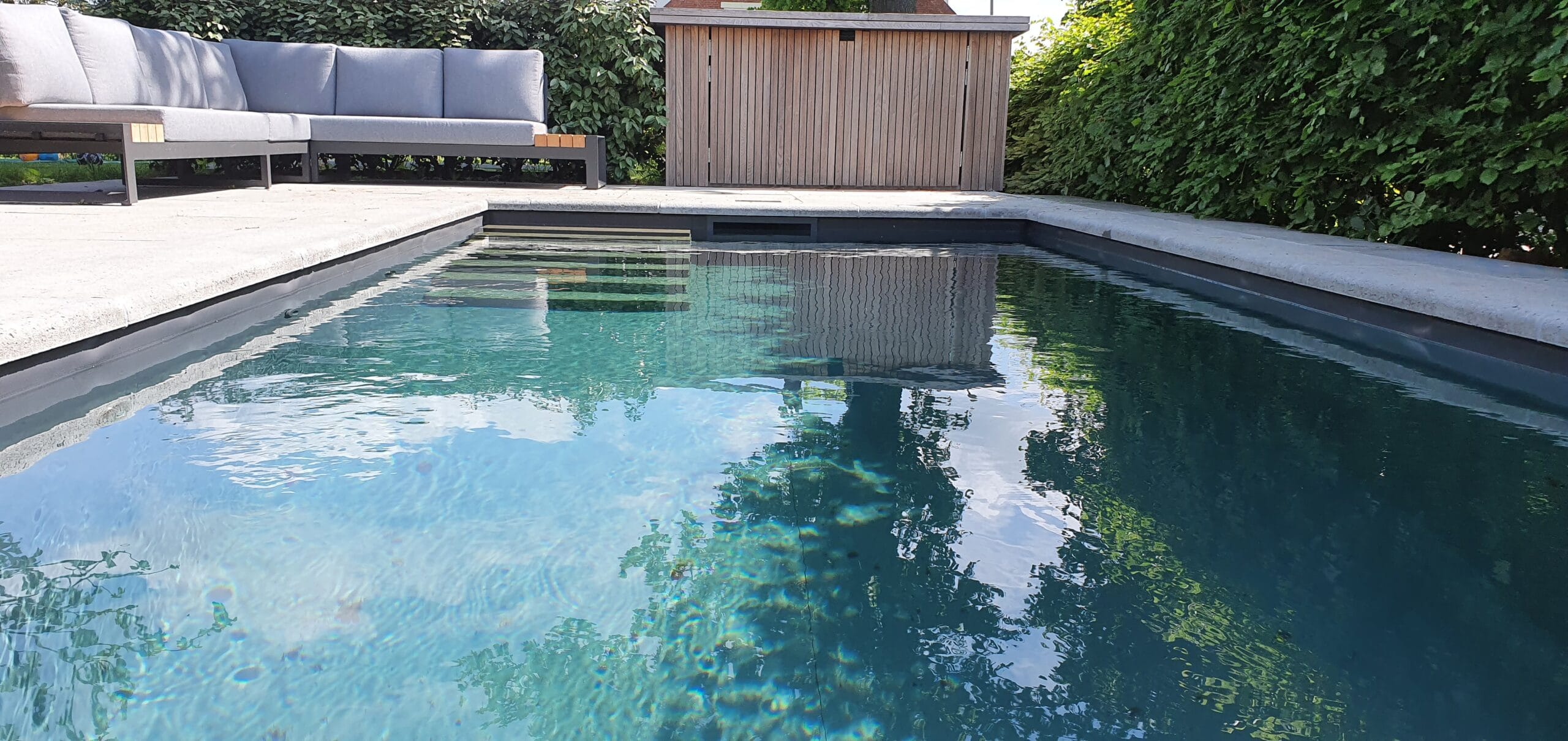 Vossebeld Zwemmen | Drenthe & Hoogeveen