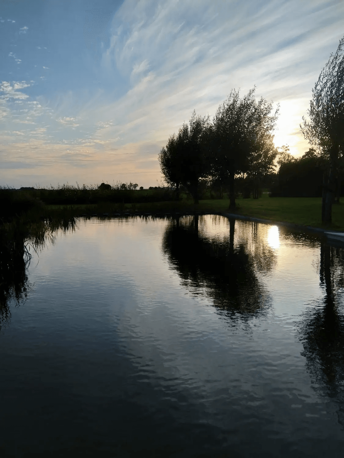 zwemvijver-Leeuwarden- Vossebeld Zwemmen