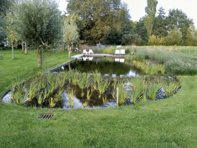 Zwemvijver – Leeuwarden​