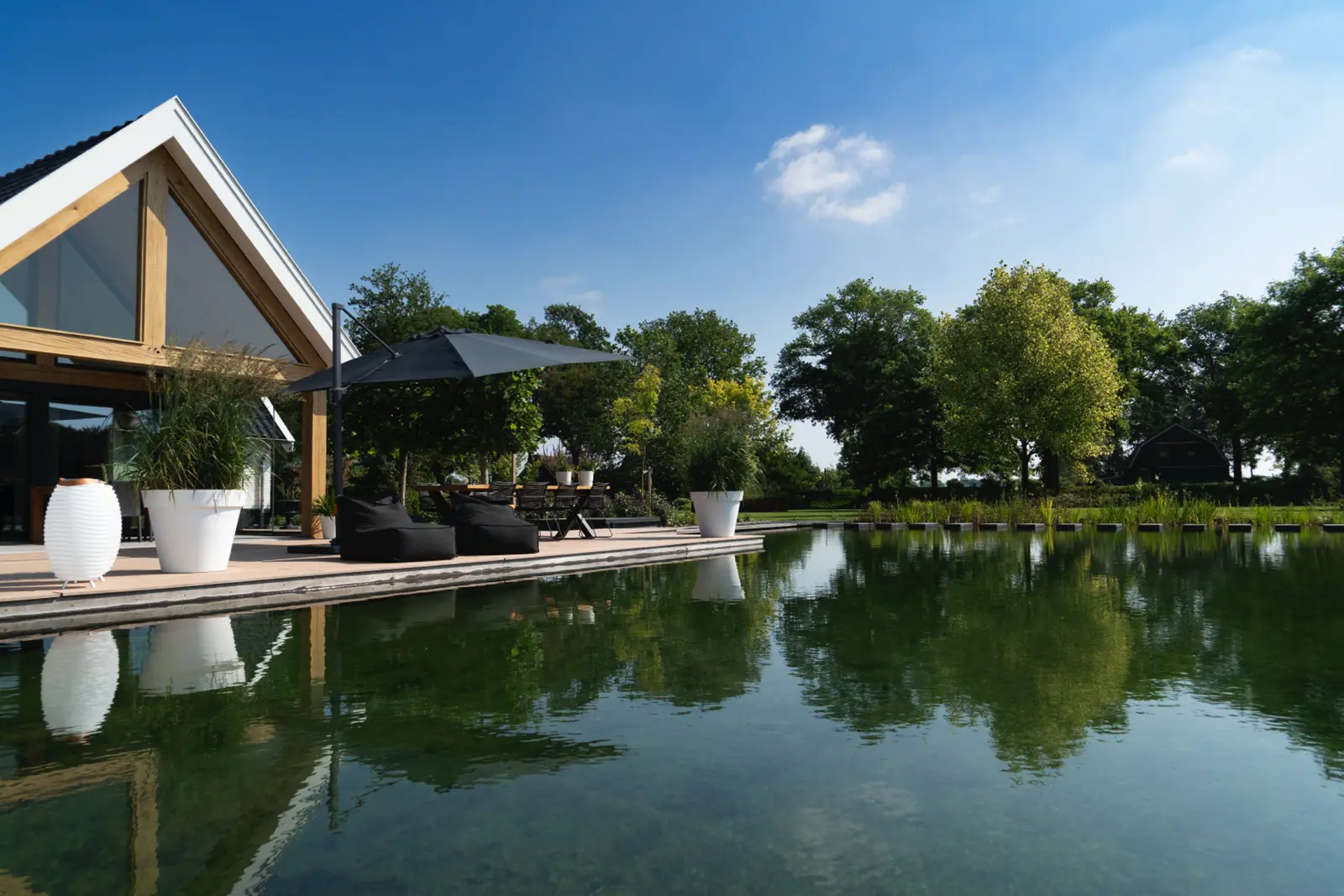 zwemvijver-hooghexel-overijssel-02 - Vossebeld Zwemmen