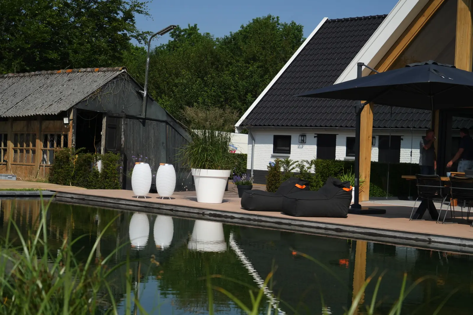 zwemvijver-hooghexel-overijssel-07