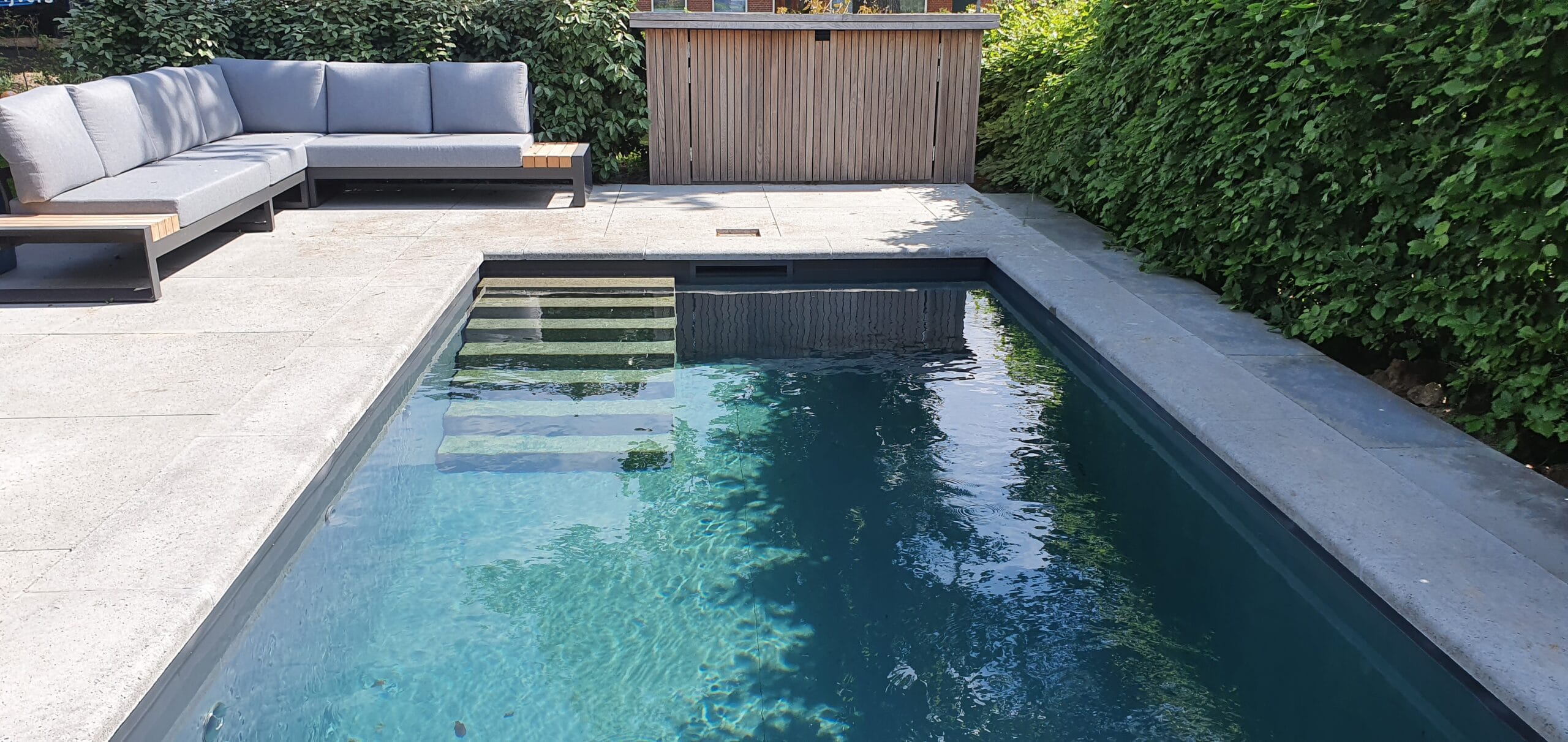 Natuurlijk Zwembad Haren - Vossebeld 2022-05-17 11.56.57