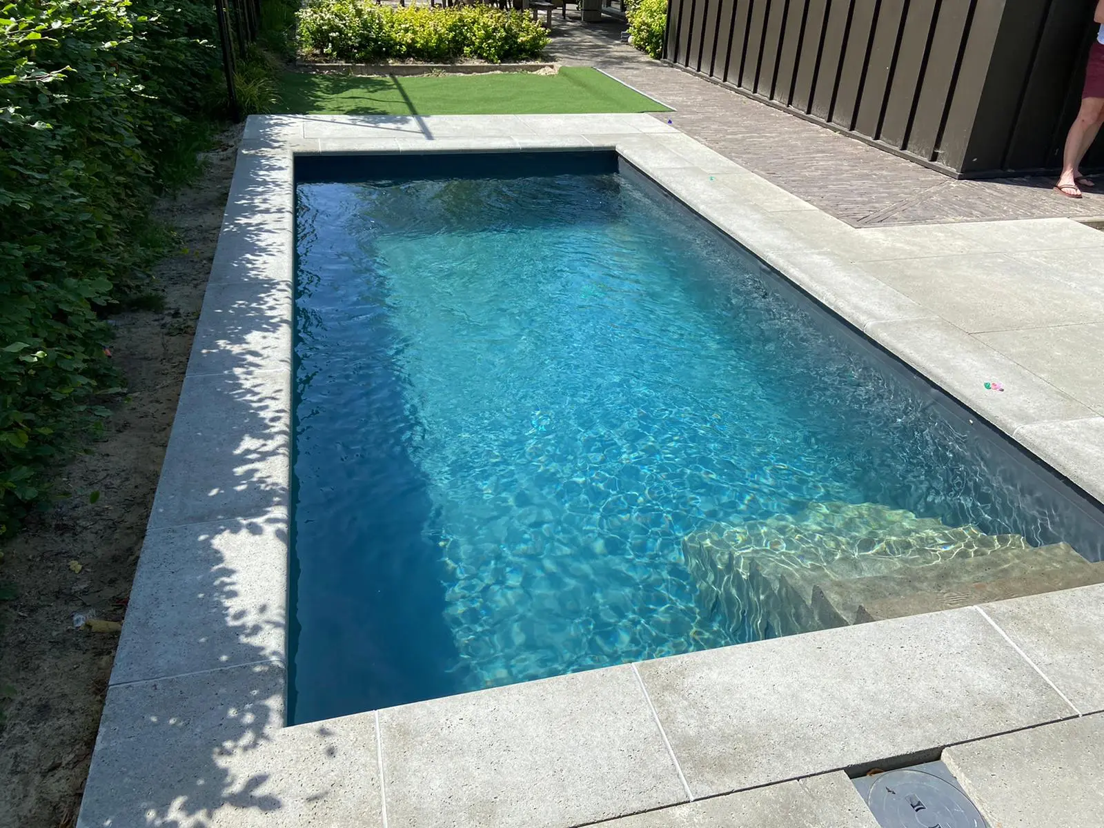 Natuurlijk Zwembad Haren - Vossebeld zwembad-haren-groningen-04