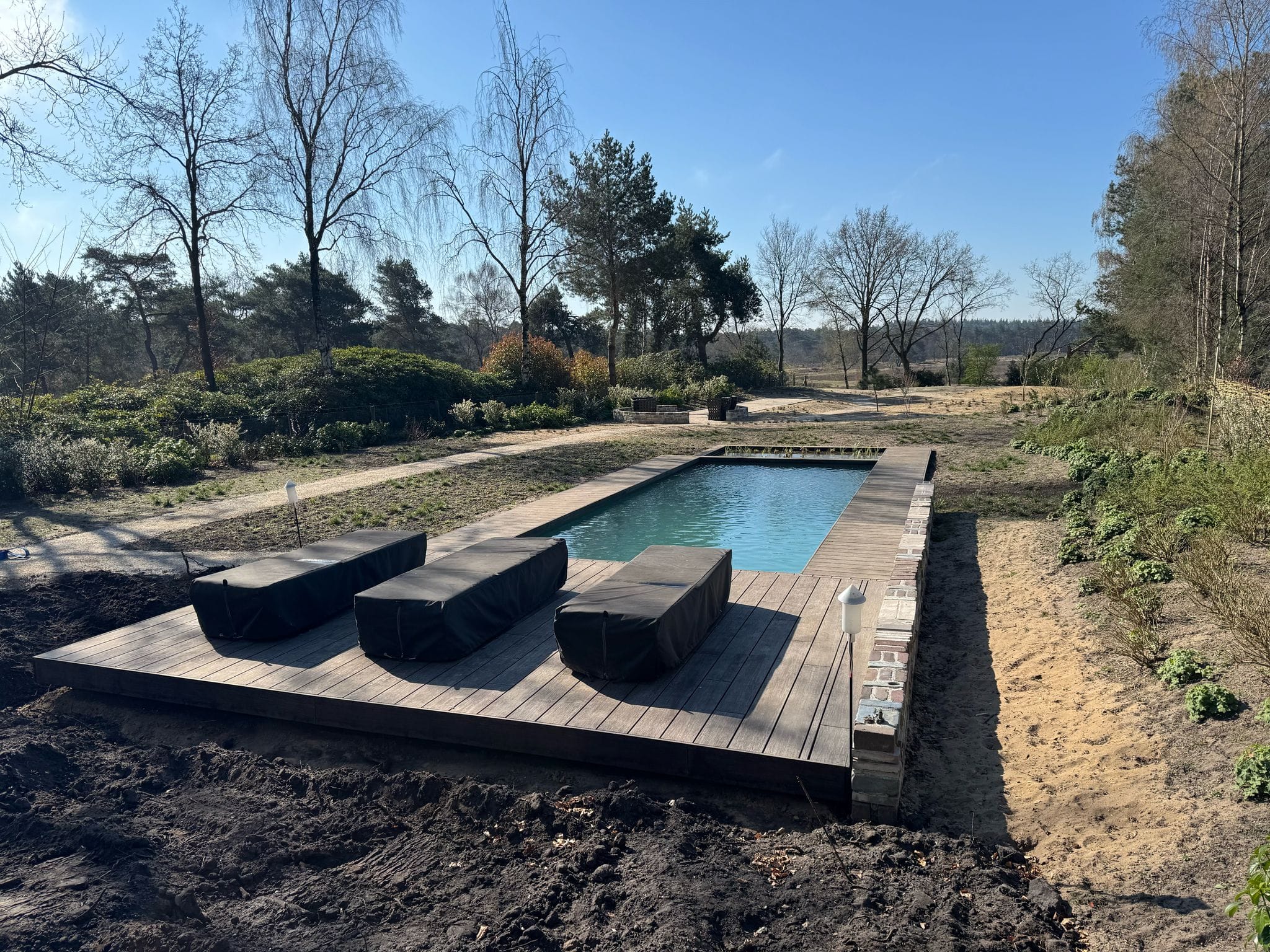 Vossebeld Zwemmen | Natuurlijke filtratie | BiopoolsWhatsApp Image 2026-04-05 at 11.49.02