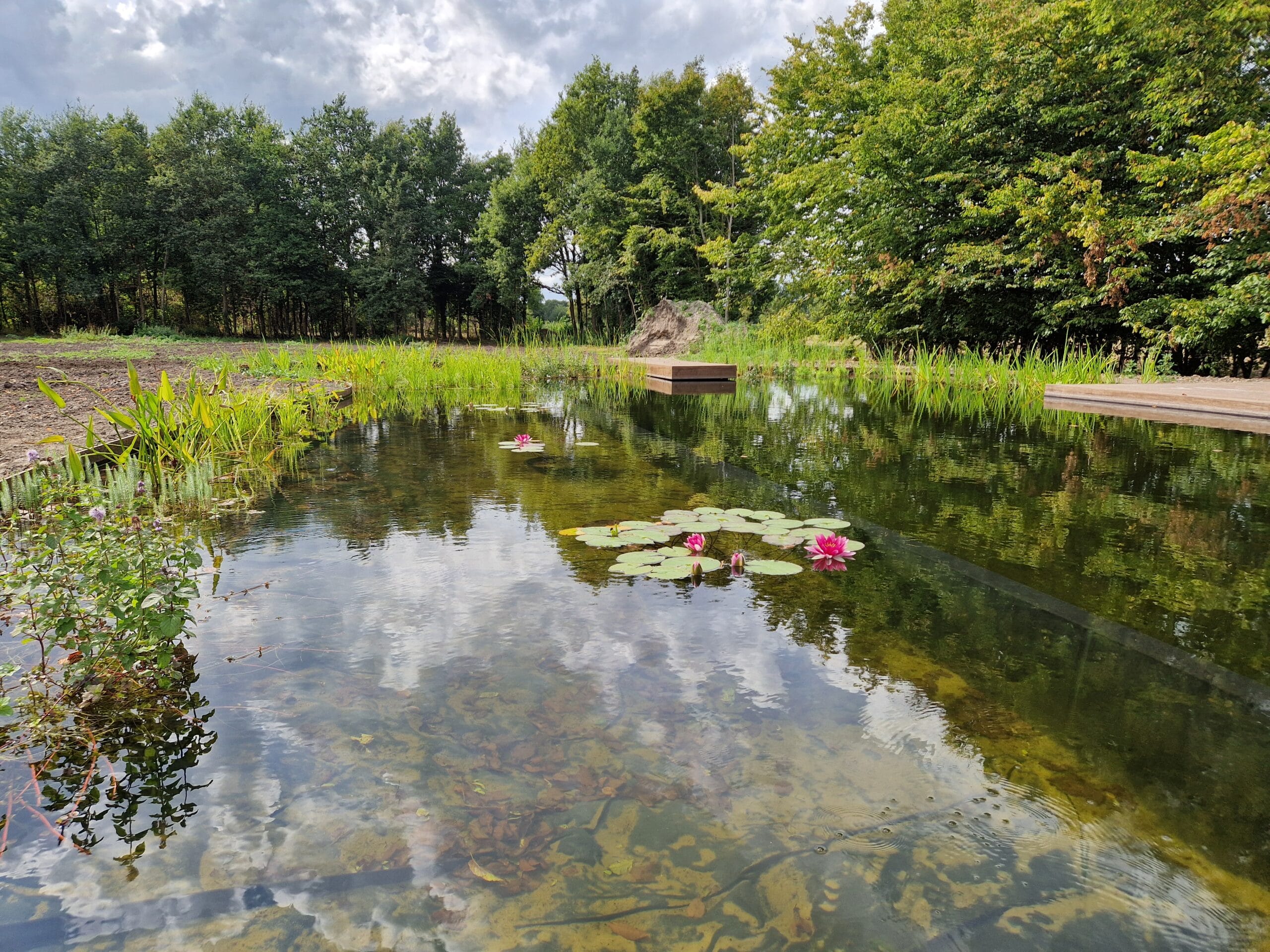 Project Hilversum | Vossebeld Zwemmen