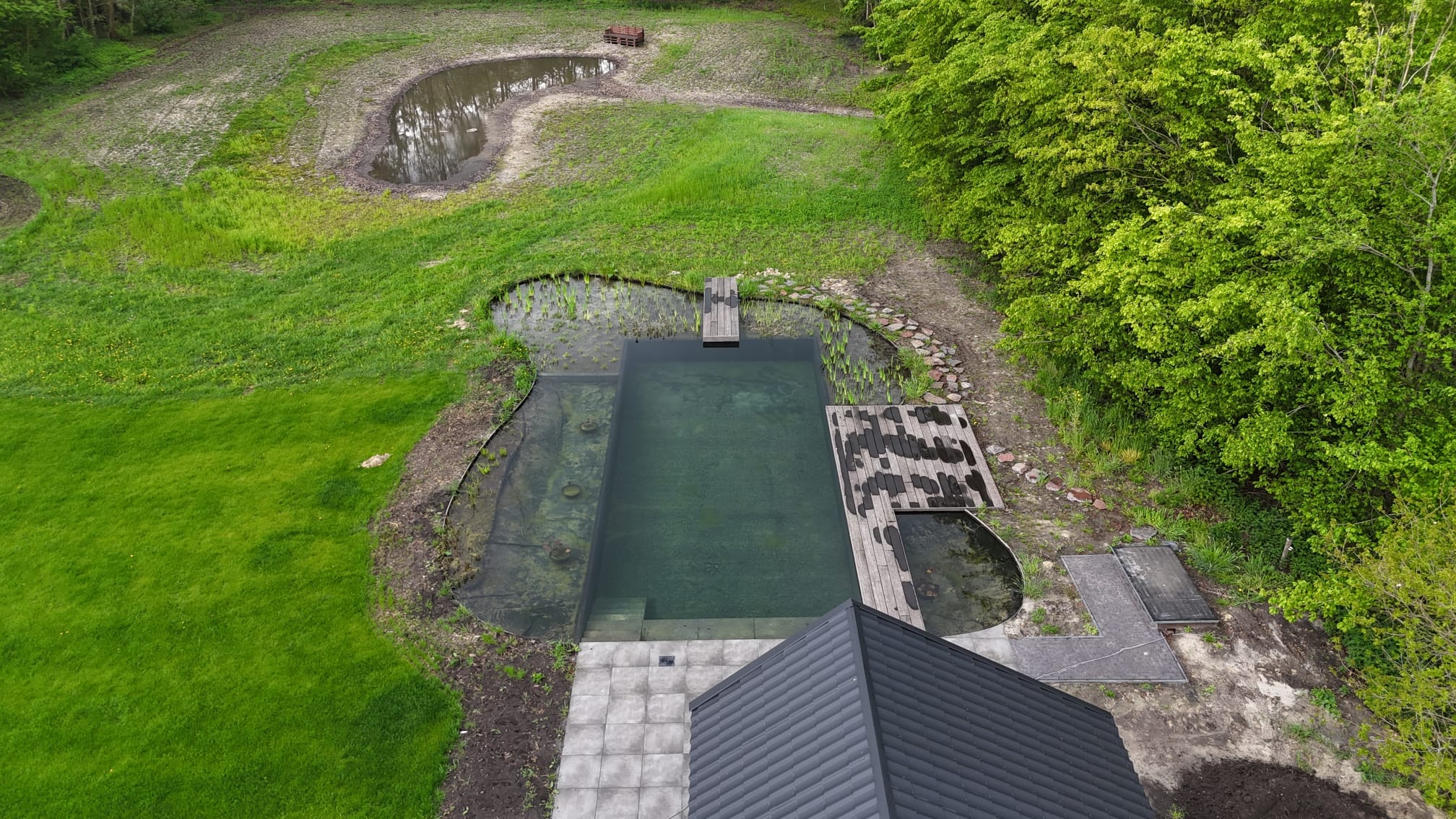 Vossebeld Zwemmen : Zwemvijver Oosterhesselen