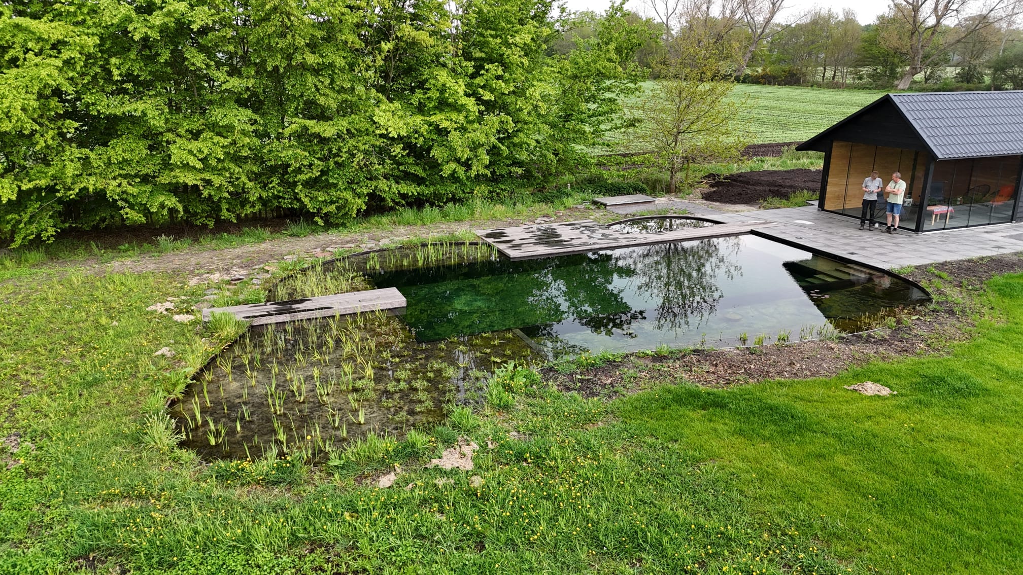 Vossebeld Zwemmen : Zwemvijver Oosterhesselen