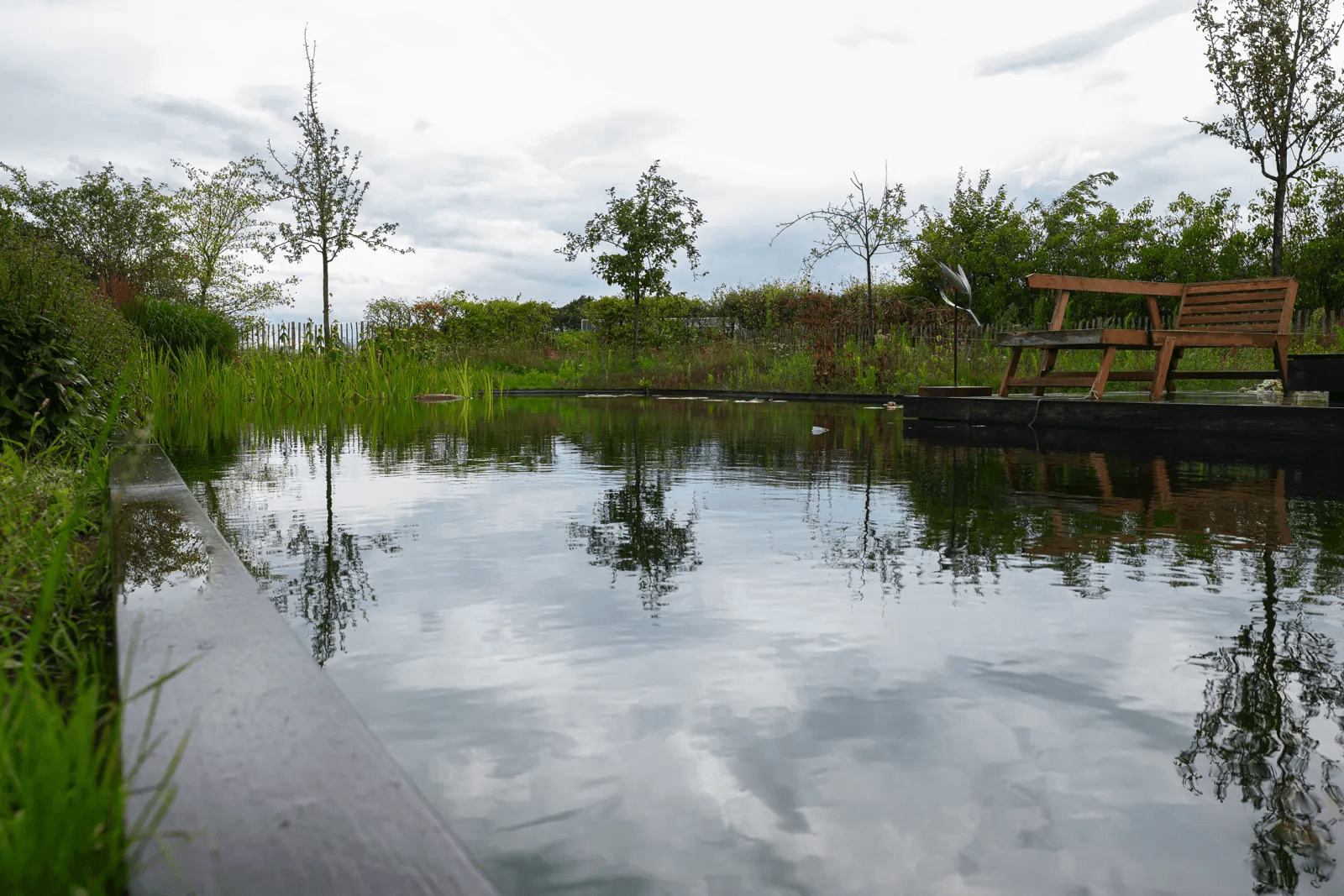 Zwemvijver - Noord sleen