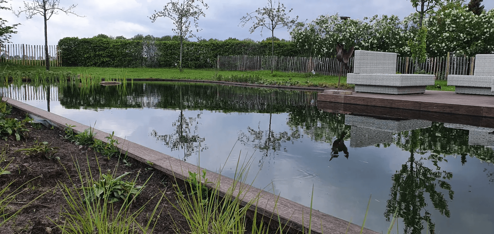 zwemvijver-noord-sleen- Vossebeld Zwemmen