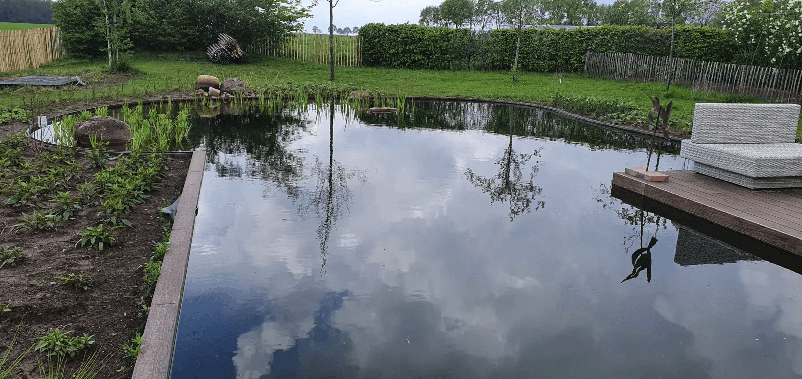 zwemvijver-noord-sleen- Vossebeld Zwemmen