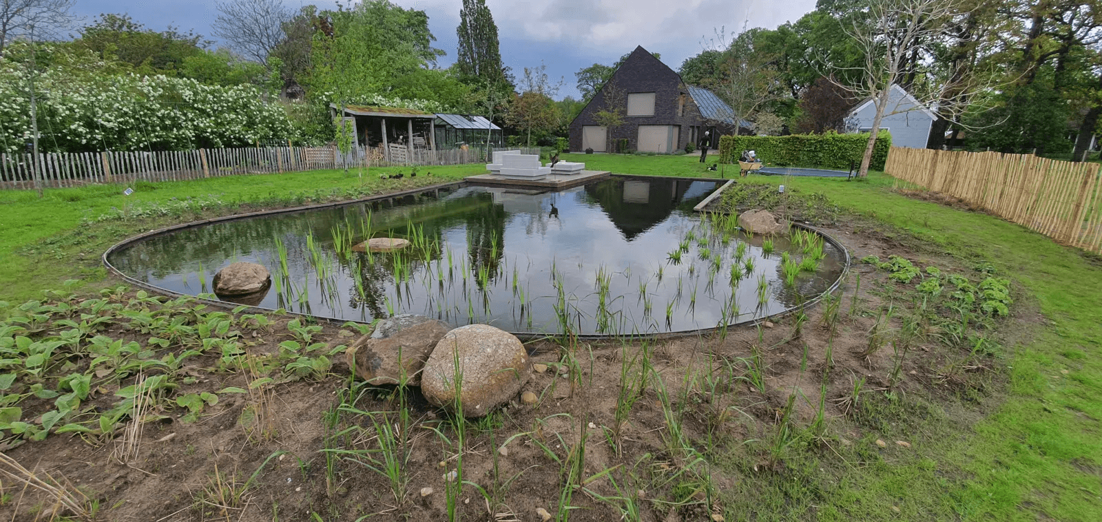 zwemvijver-noord-sleen- Vossebeld Zwemmen