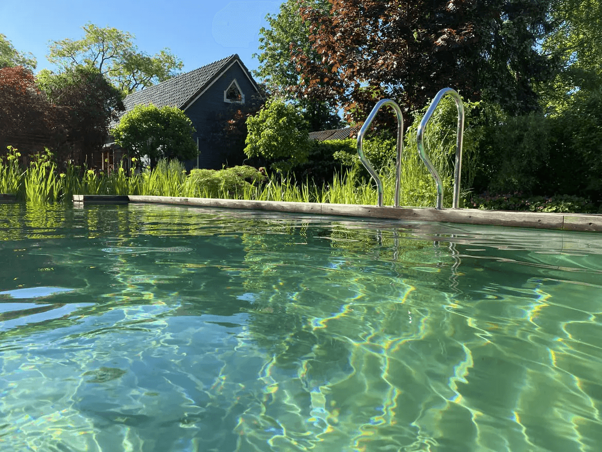 zwemvijver-apeldoorn- Vossebeld Zwemmen