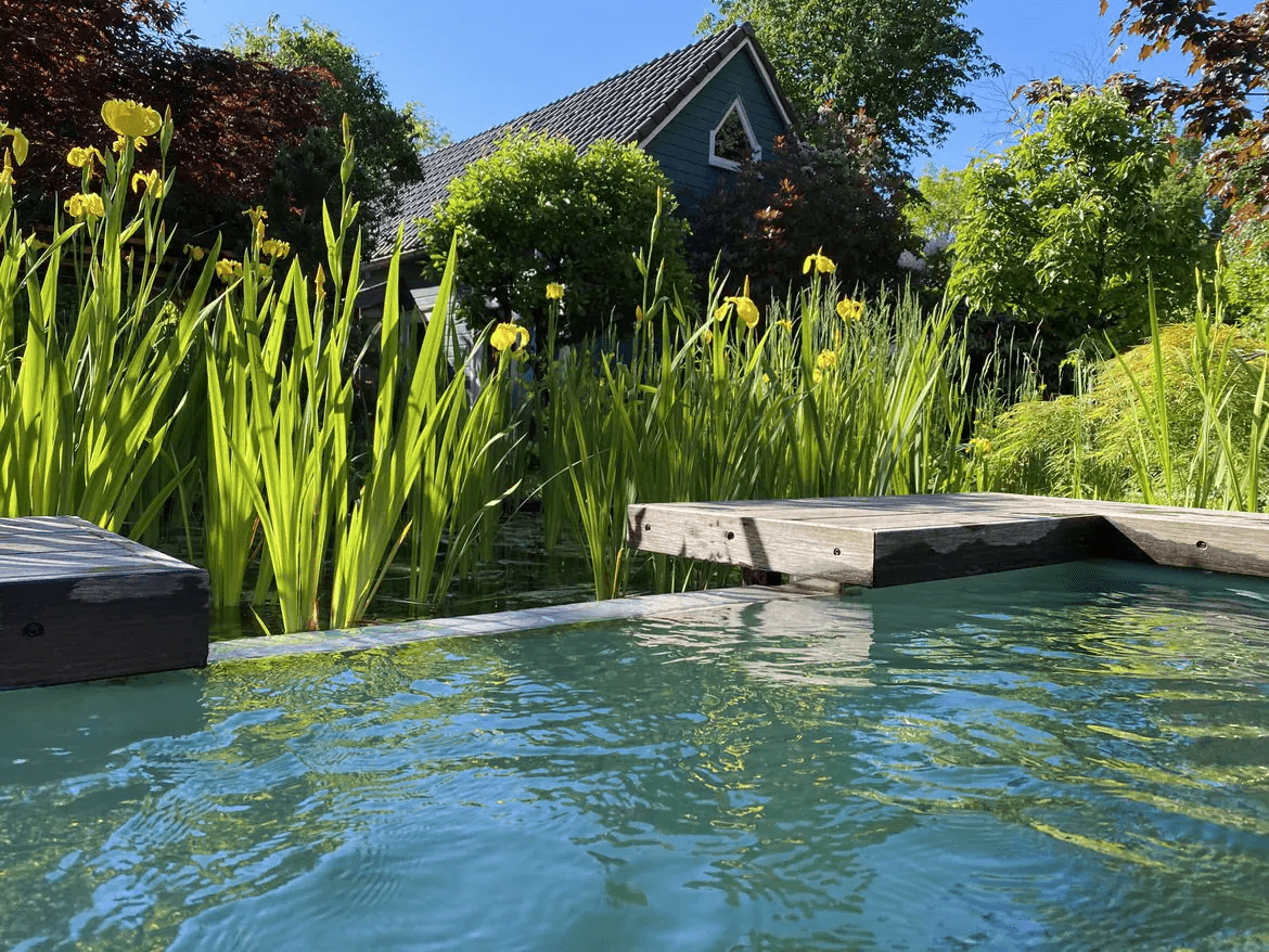 zwemvijver-apeldoorn- Vossebeld Zwemmen