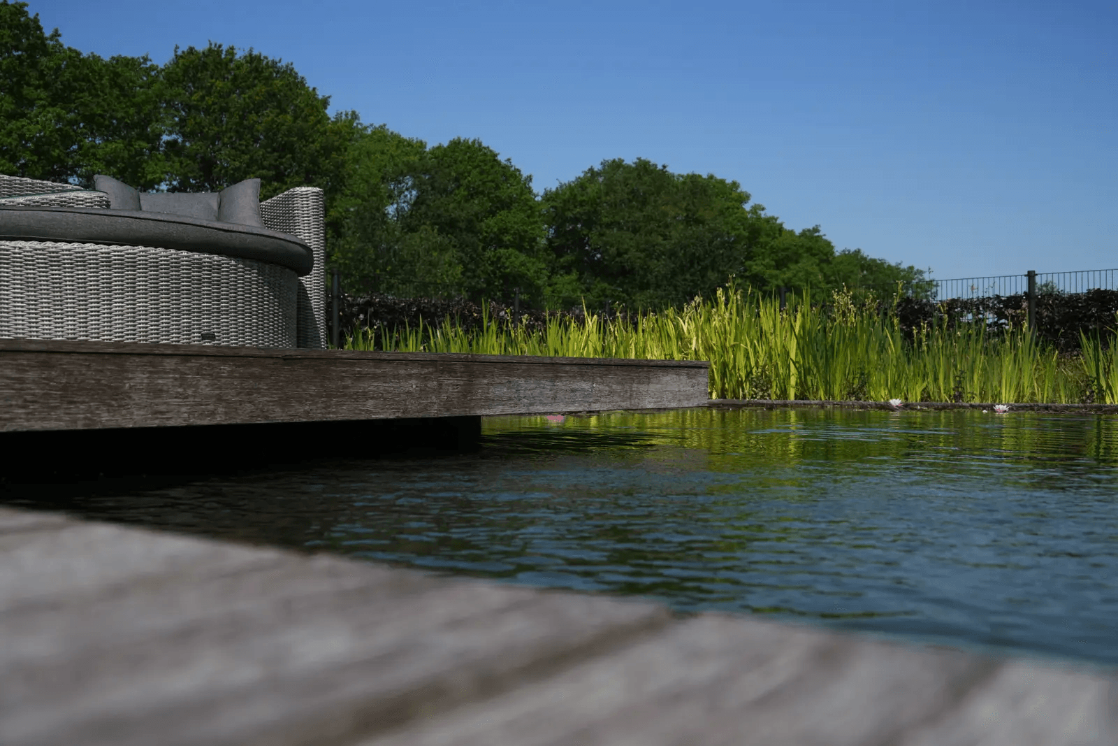 zwemvijver-tubbergen- Vossebeld Zwemmen