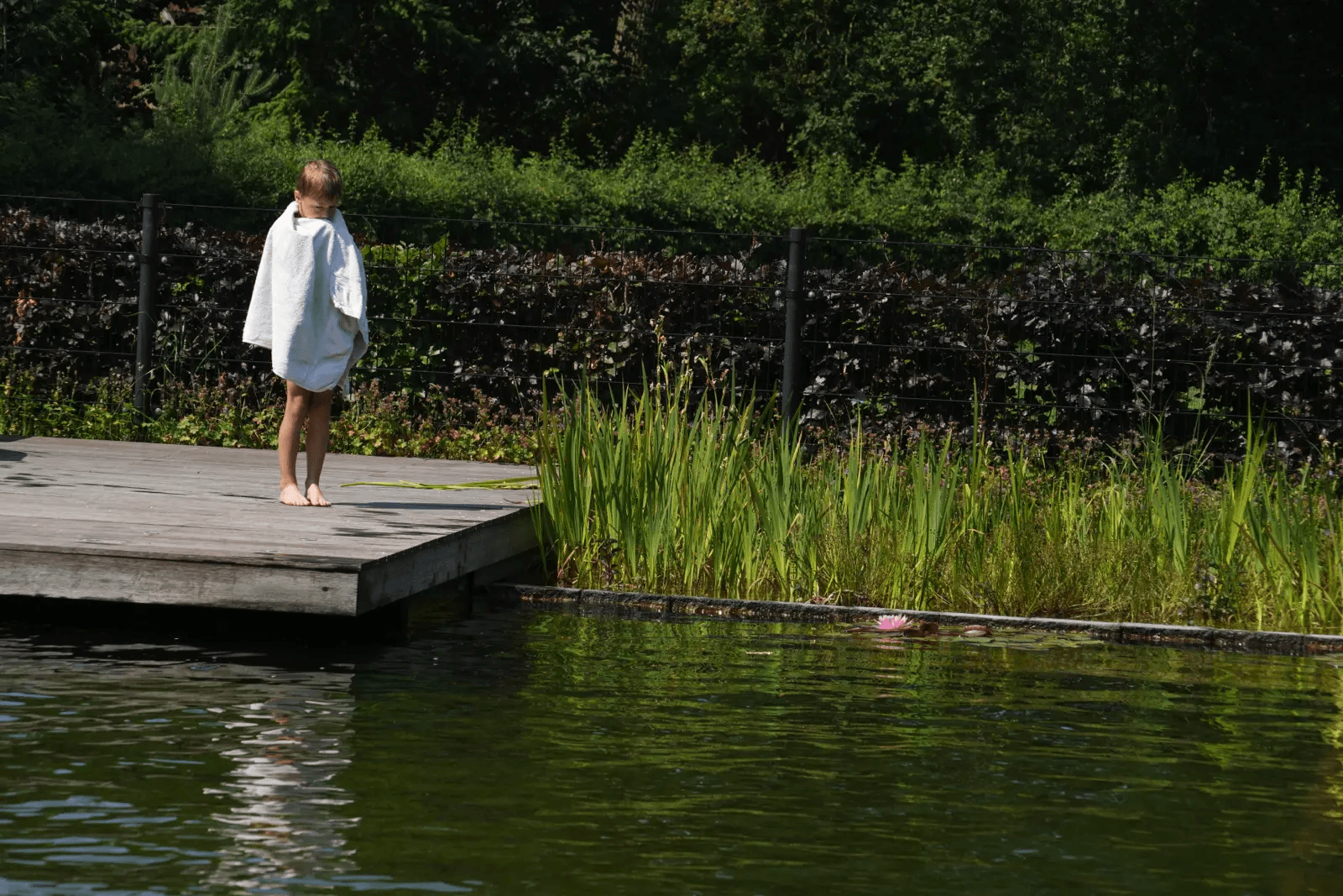 zwemvijver-tubbergen- Vossebeld Zwemmen