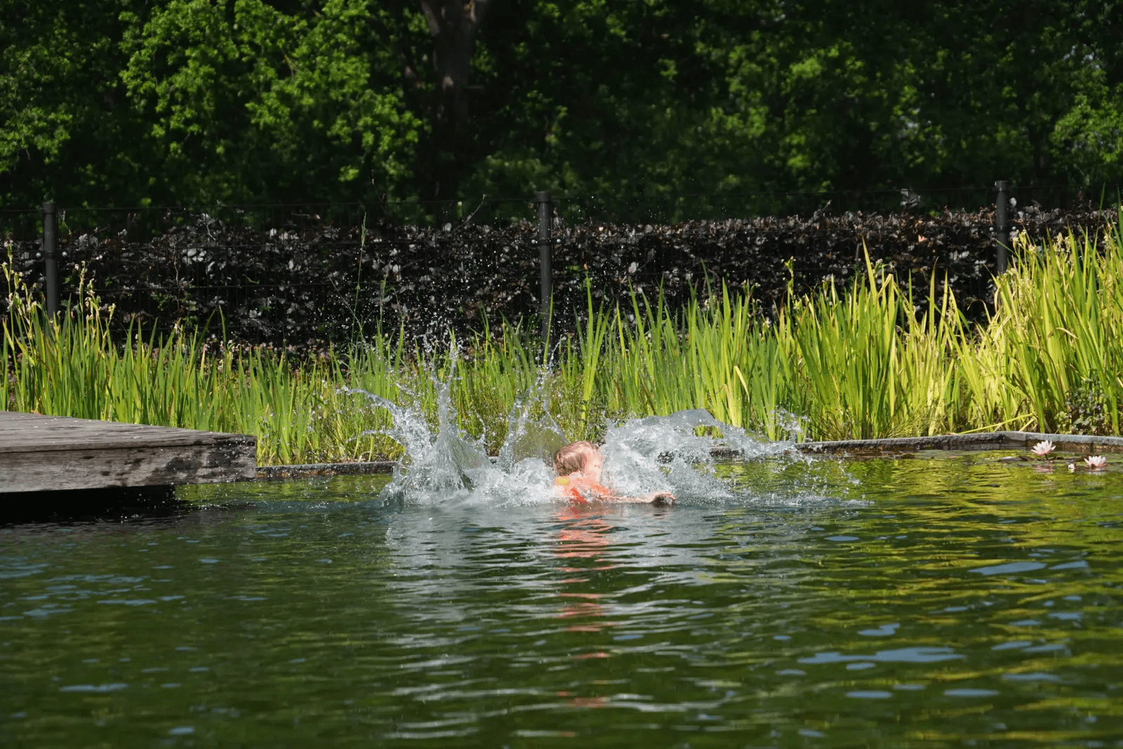 Zwemvijver - Tubbergen