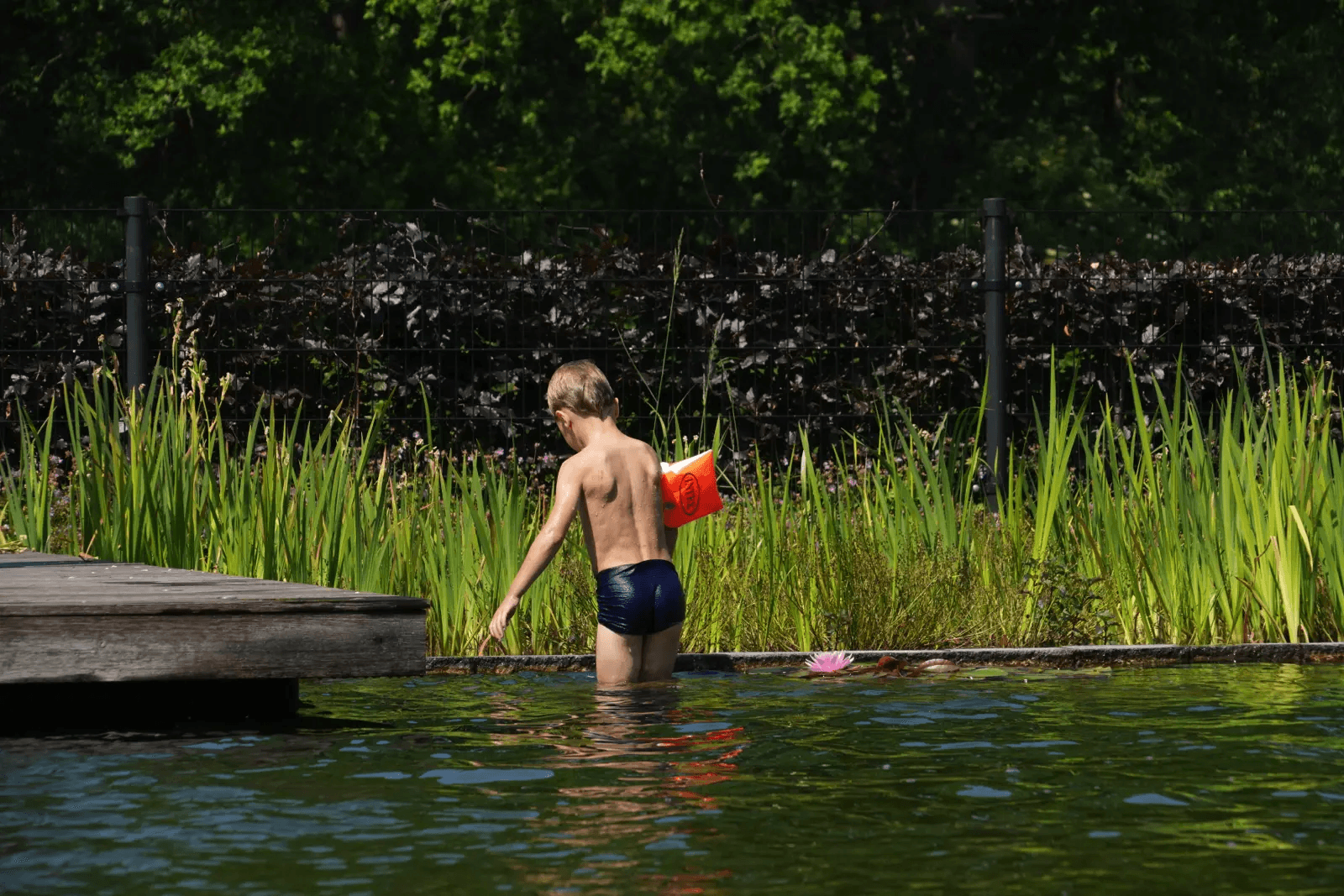 zwemvijver-tubbergen- Vossebeld Zwemmen