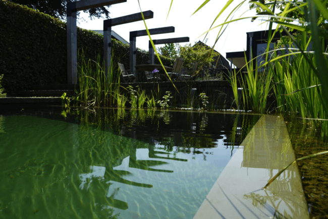 Zwemvijver – Oldenzaal