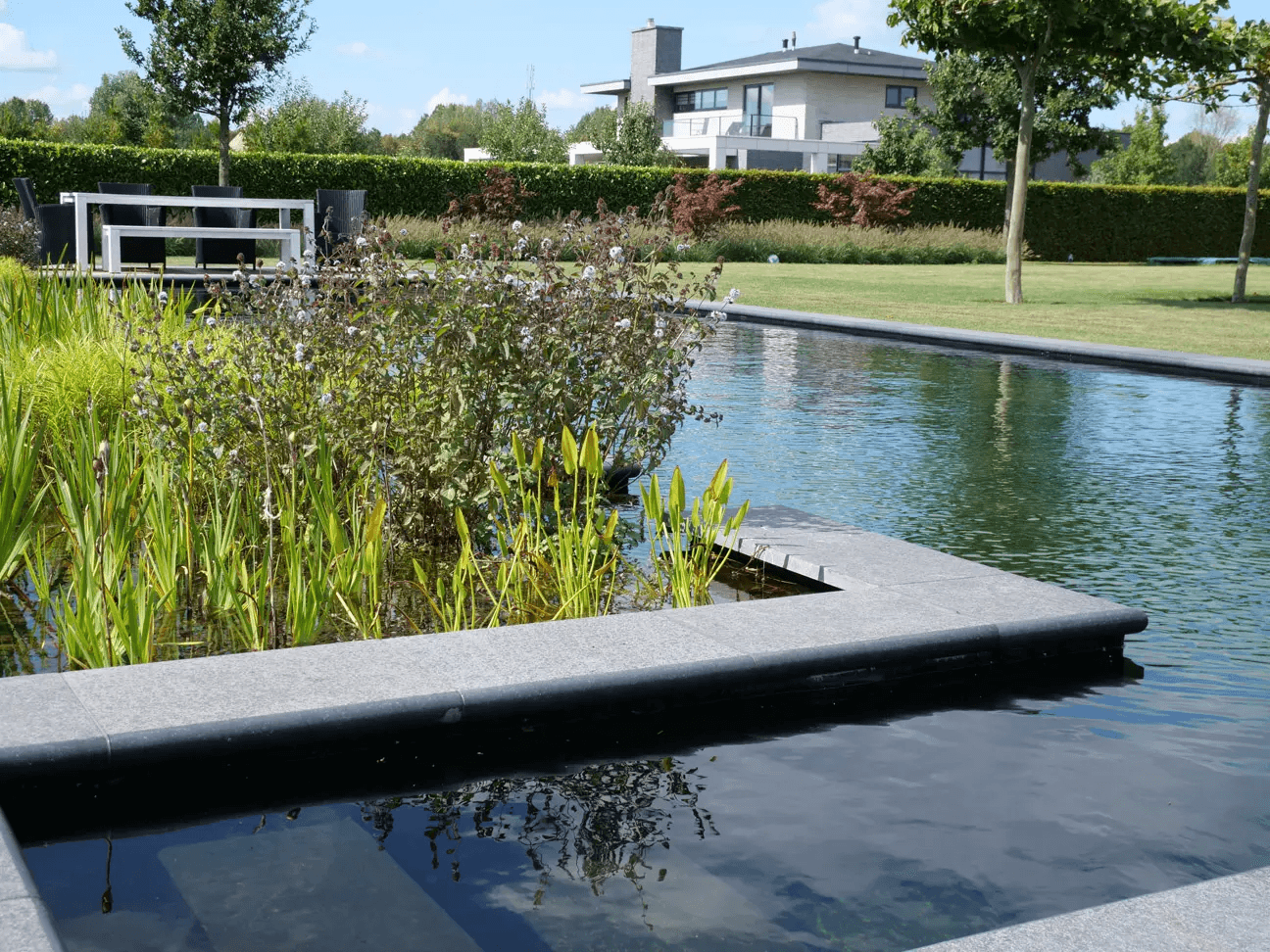 zwemvijver-Almere- Vossebeld Zwemmen