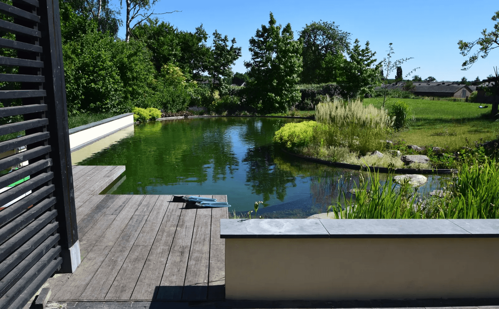 zwemvijver-zevenaar- Vossebeld Zwemmen