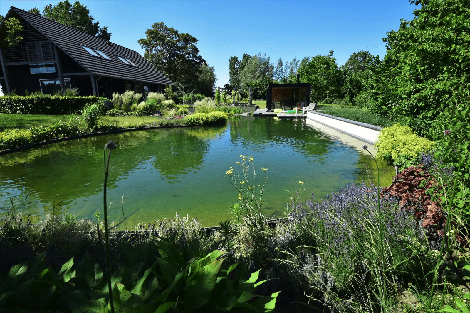 zwemvijver-zevenaar- Vossebeld Zwemmen