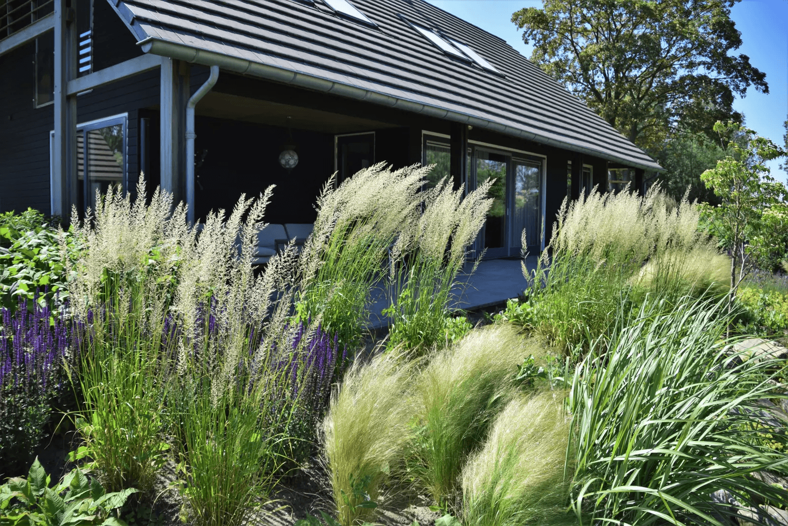 zwemvijver-zevenaar- Vossebeld Zwemmen