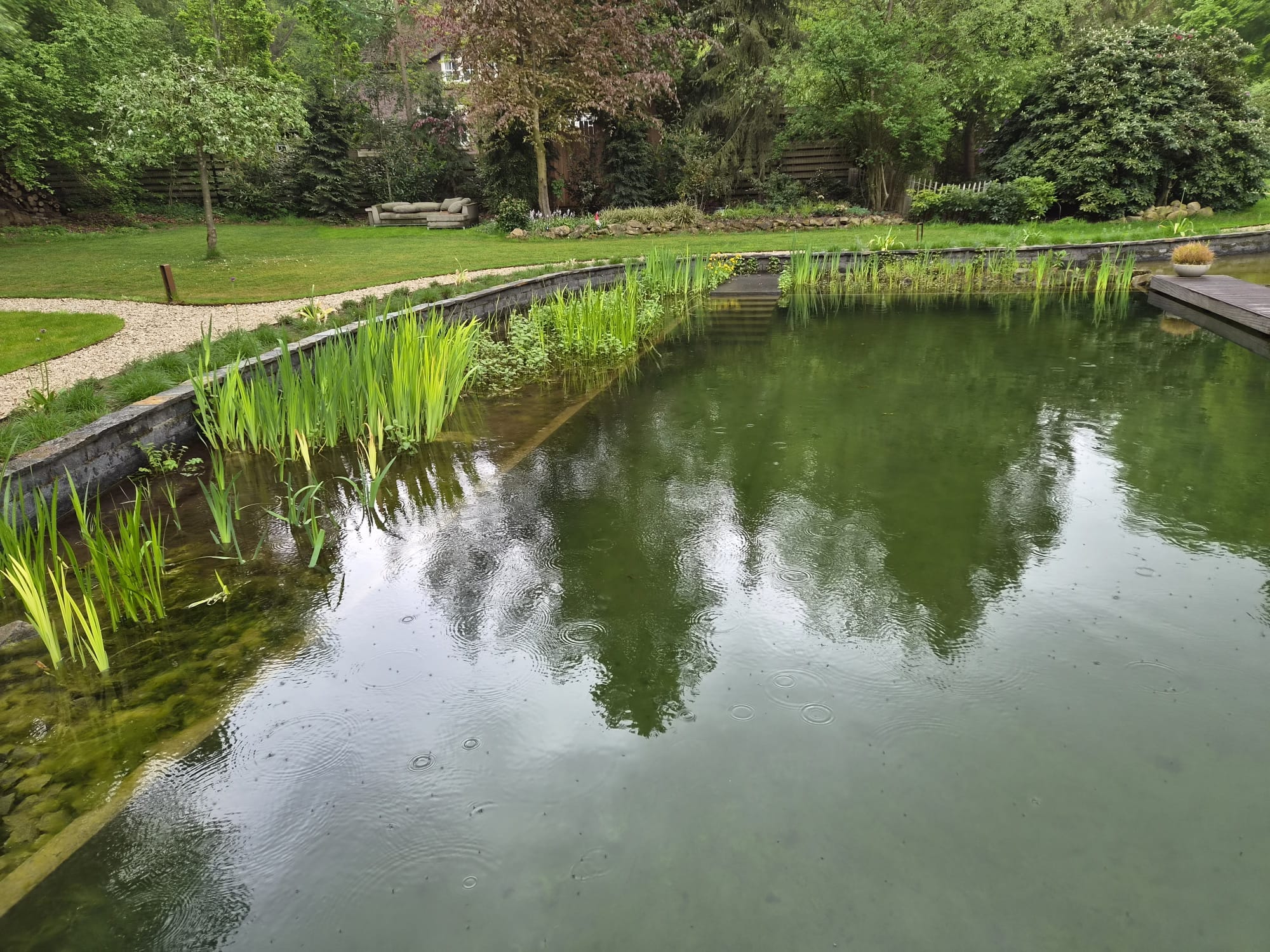 Vossebeld Zwemmen : Vijvers - Zwemvijver Zwolle