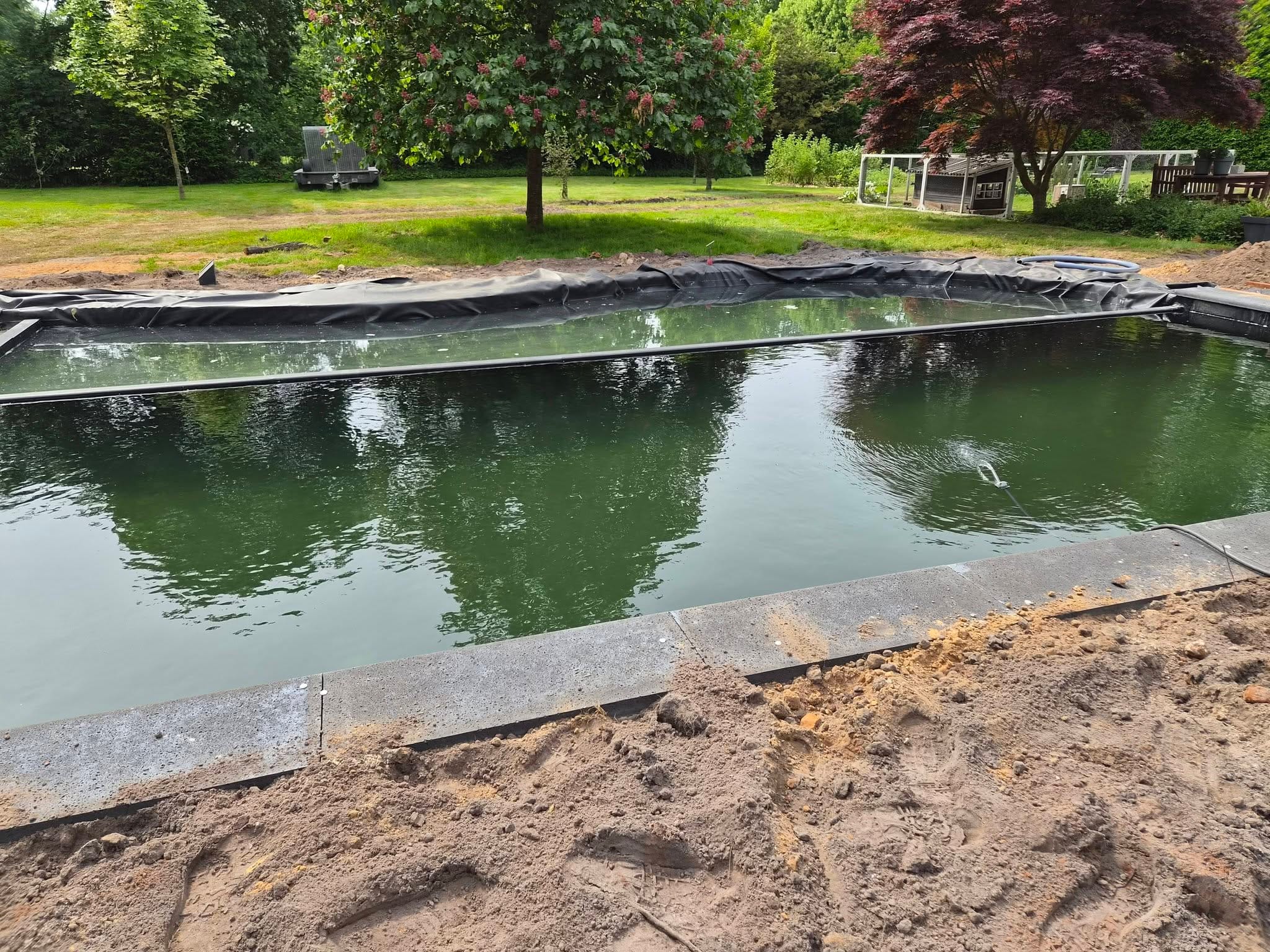 Vossebeld Zwemvijver op maat | Natuurlijk vormen | Vossebeld Zwemmen | Hoogeveen